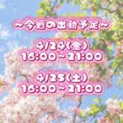ヒメ日記 2026/04/21 16:25 投稿 あこ【業界未経験】 茨城水戸ちゃんこ