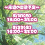 ヒメ日記 2026/05/17 10:15 投稿 あこ【業界未経験】 茨城水戸ちゃんこ