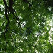 町田 かおり はじめまして 熟女パラダイス鶯谷店(カサブランカグループ)