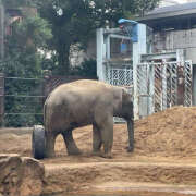 ゆづき ひさしゅつ🫡 バイオレンス