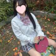 ヒメ日記 2025/12/09 12:32 投稿 星川めみ JKリフレ東京 秋葉原本店