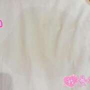 ヒメ日記 2025/12/08 23:30 投稿 白咲 BBW錦糸町店