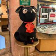 ヒメ日記 2026/03/29 17:16 投稿 白咲 BBW錦糸町店