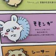 ヒメ日記 2026/09/24 23:45 投稿 白咲 BBW錦糸町店