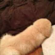 ヒメ日記 2025/10/16 18:15 投稿 ななお 大阪人妻アクシデント