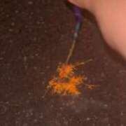 ヒメ日記 2025/07/24 21:14 投稿 かな 谷町豊満奉仕倶楽部