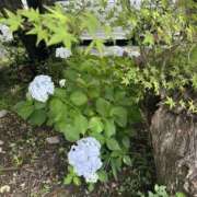 のあ 😳😳 宇都宮発～正統派清楚系デリヘル！ CHERIMO（シェリモ）