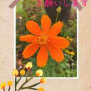 ヒメ日記 2025/10/03 09:14 投稿 のん 池袋おかあさん