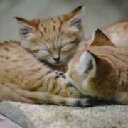 のん おはようございます✨ 池袋おかあさん