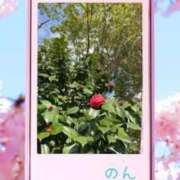 のん おはようございます✨ 池袋おかあさん