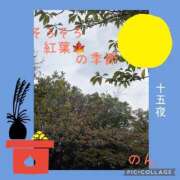 ヒメ日記 2026/09/25 09:14 投稿 のん 池袋おかあさん