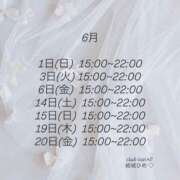 ヒメ日記 2025/05/29 21:21 投稿 結城 ひめ コンフォート