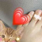 ヒメ日記 2025/09/26 13:42 投稿 なな 素人妻達☆マイふぇらレディー