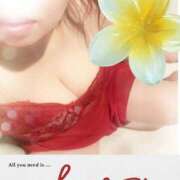 ヒメ日記 2025/05/17 13:11 投稿 石原久美(いしはらくみ) 姫路マダム大奥