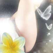 ヒメ日記 2025/05/27 00:31 投稿 石原久美(いしはらくみ) 姫路マダム大奥