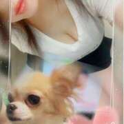 ヒメ日記 2025/07/28 09:02 投稿 石原久美(いしはらくみ) 姫路マダム大奥