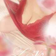 ヒメ日記 2026/02/12 12:52 投稿 石原久美(いしはらくみ) 姫路マダム大奥