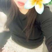 ヒメ日記 2026/04/04 09:42 投稿 石原久美(いしはらくみ) 姫路マダム大奥