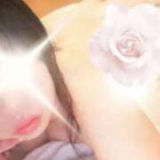 ヒメ日記 2026/08/03 09:22 投稿 石原久美(いしはらくみ) 姫路マダム大奥