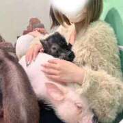 ヒメ日記 2025/12/19 00:54 投稿 かりん マリンマリン