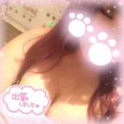 ヒメ日記 2025/08/19 19:13 投稿 うゆ ちゃんこ湘南平塚店