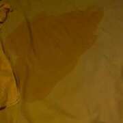 ヒメ日記 2025/06/02 21:33 投稿 こむぎ ギャル娘業界未経験 L＆Jブラザーズ