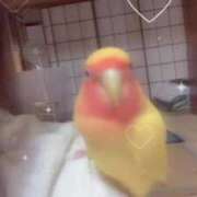 ヒメ日記 2025/09/03 13:02 投稿 天使しゅう ウルトラプラチナム