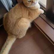 ヒメ日記 2025/09/24 13:45 投稿 ゆずか 性腺熟女100％鶯谷（デリヘル市場）