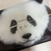 ヒメ日記 2025/10/07 14:32 投稿 りり 素人妻達☆マイふぇらレディー