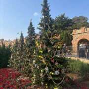 ヒメ日記 2025/12/06 22:45 投稿 りり 素人妻達☆マイふぇらレディー