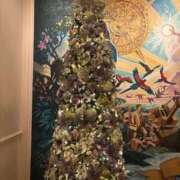 ヒメ日記 2025/12/15 20:45 投稿 りり 素人妻達☆マイふぇらレディー