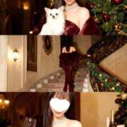 ヒメ日記 2025/12/24 18:54 投稿 ありす ごほうびSPA池袋店