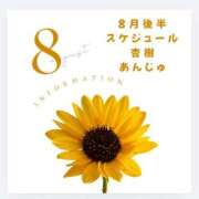 ヒメ日記 2026/08/11 14:14 投稿 杏樹(あんじゅ) 五十路エステハイブリッド(カサブランカグループ)