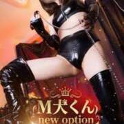 ヒメ日記 2025/11/18 00:07 投稿 愛沢あずさ＠飼殺しと至極の躾 アナラードライ