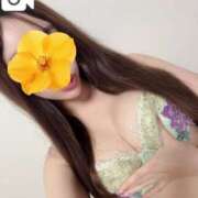 ヒメ日記 2025/07/08 22:42 投稿 えれな ホワイトベル