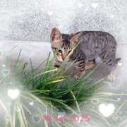 ヒメ日記 2025/07/18 09:08 投稿 彩永(さな) PLUS十三店