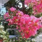 ヒメ日記 2025/07/27 11:28 投稿 彩永(さな) PLUS十三店