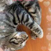 ヒメ日記 2025/07/30 13:28 投稿 彩永(さな) PLUS十三店