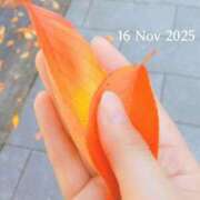 ヒメ日記 2025/11/16 09:41 投稿 彩永(さな) PLUS十三店