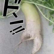 ヒメ日記 2026/01/18 13:48 投稿 彩永(さな) PLUS十三店