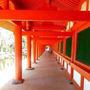 ヒメ日記 2026/02/21 11:38 投稿 彩永(さな) PLUS十三店