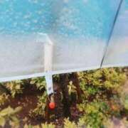 ヒメ日記 2026/02/25 13:28 投稿 彩永(さな) PLUS十三店