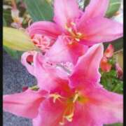 ヒメ日記 2026/03/15 11:58 投稿 彩永(さな) PLUS十三店