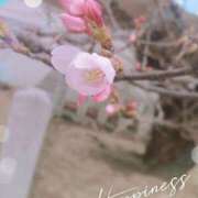 ヒメ日記 2026/03/24 08:08 投稿 彩永(さな) PLUS十三店