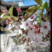 ヒメ日記 2026/04/09 06:59 投稿 彩永(さな) PLUS十三店