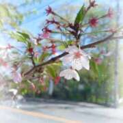 ヒメ日記 2026/04/12 10:28 投稿 彩永(さな) PLUS十三店