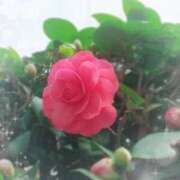 ヒメ日記 2026/04/22 09:58 投稿 彩永(さな) PLUS十三店