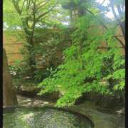 ヒメ日記 2026/05/19 08:58 投稿 彩永(さな) PLUS十三店