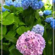 ヒメ日記 2026/05/31 09:38 投稿 彩永(さな) PLUS十三店