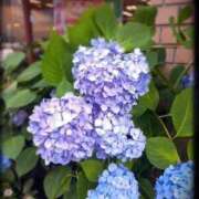 ヒメ日記 2026/06/08 10:08 投稿 彩永(さな) PLUS十三店